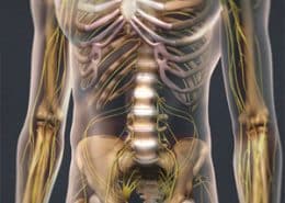 Degenerative Disc Disease