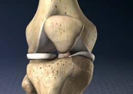 knee