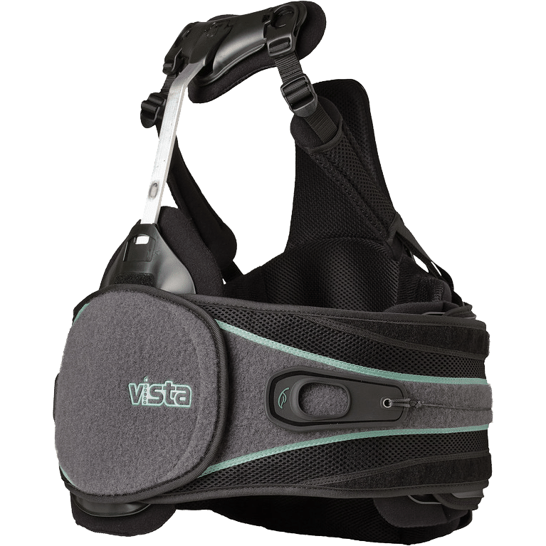 vista back brace